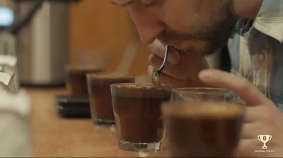 Module 1 Taste