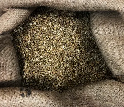 Module 5 Green Coffee